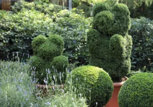 Gardening