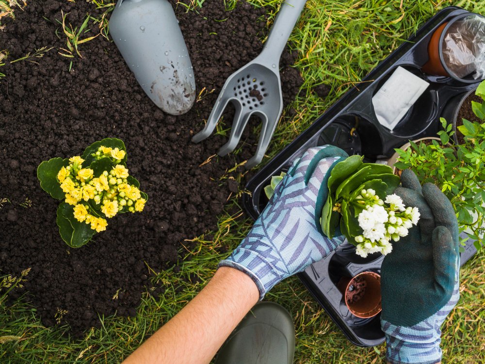 organic gardening