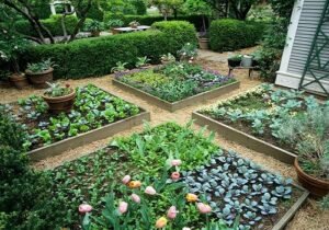 Organic gardening