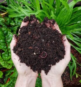 Organic Gardening