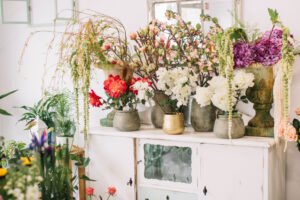indoor plants