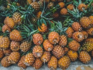 garden fruits